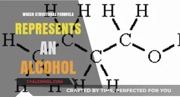 Understanding Alcohol Structural Formulas: Identifying the Correct Representation