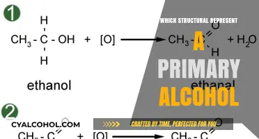 Understanding Primary Alcohols: Identifying Their Unique Structural Representation