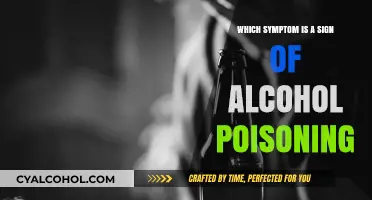 Recognizing Alcohol Poisoning: Key Symptoms You Should Never Ignore