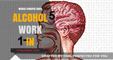 How Alcohol Interacts with Brain Synapses: Unraveling the Neurological Impact
