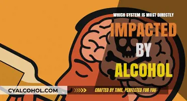 Alcohol's Primary Target: The System Most Directly Affected by Consumption