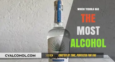 Discover the Strongest Tequila: Highest Alcohol Content Brands Revealed