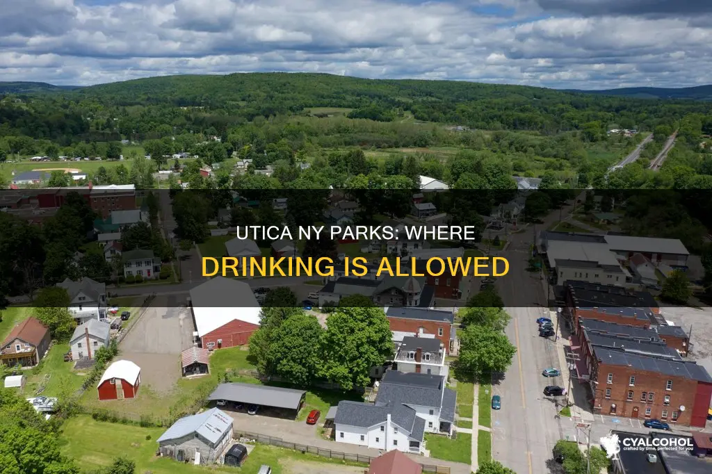which town parks in utica ny allow alcoholic beverages