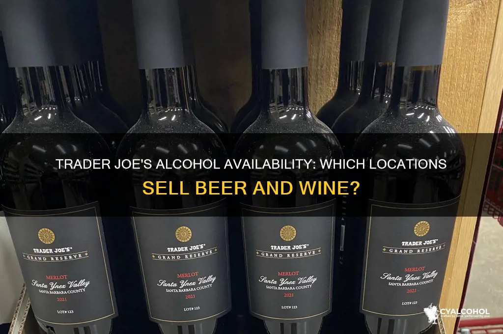 which trader joe