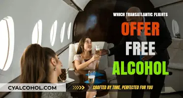 Sip and Fly: Transatlantic Airlines Offering Complimentary Alcoholic Beverages