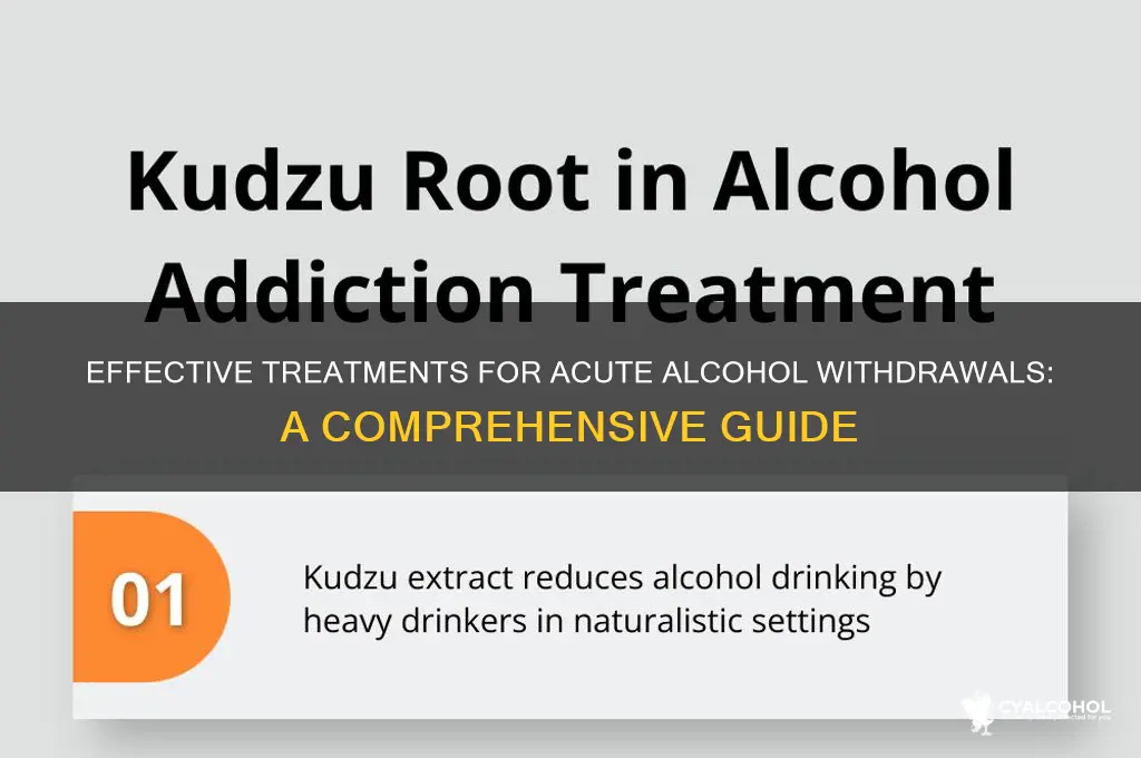 which treatment is best for acute alcohol withdrawals
