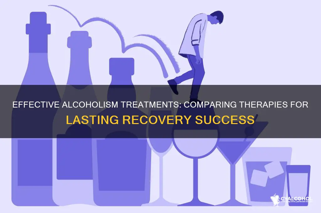 which treatment is best for alcoholics