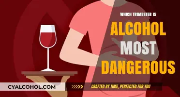 Alcohol's Critical Impact: The Most Dangerous Trimester for Fetal Development