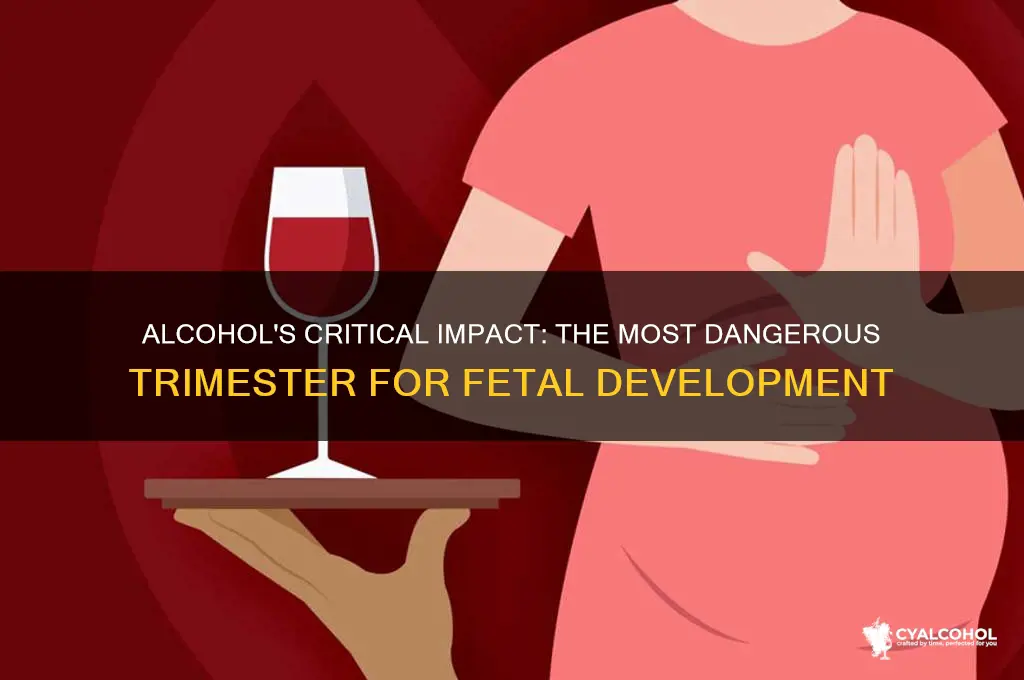 which trimester is alcohol most dangerous