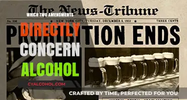 Alcohol and the Constitution: Exploring Amendments 18 and 21