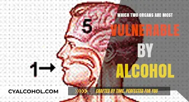 Alcohol's Silent Targets: Liver and Brain at Highest Risk