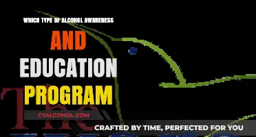 Effective Alcohol Awareness Programs: Types, Benefits, and Implementation Strategies