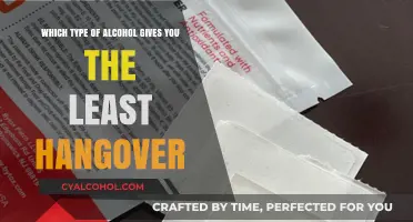 Alcohol and Hangovers: Strategies for a Pain-Free Morning