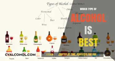 Choosing the Perfect Alcohol: A Guide to the Best Types
