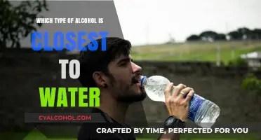 Pure and Simple: Which Alcohol Closely Resembles Water?