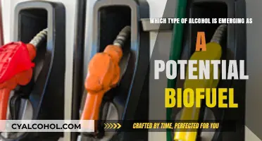 The Green Energy Potential of Alcohol Biofuel