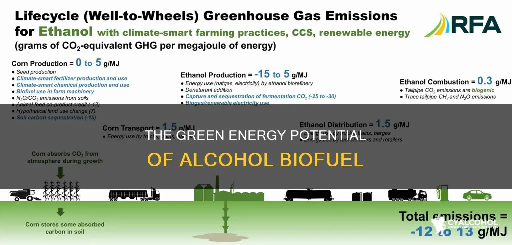 which type of alcohol is emerging as a potential biofuel