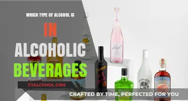 Understanding Alcohol Types: What's Really in Your Favorite Beverages?