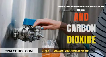 Fermentation Types: ATP, Alcohol, and Carbon Dioxide Production
