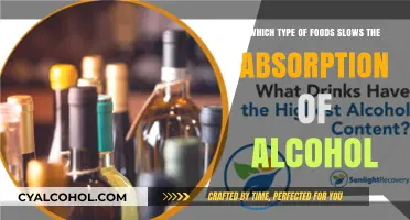 Smart Eating: Slow Alcohol Absorption with These Foods