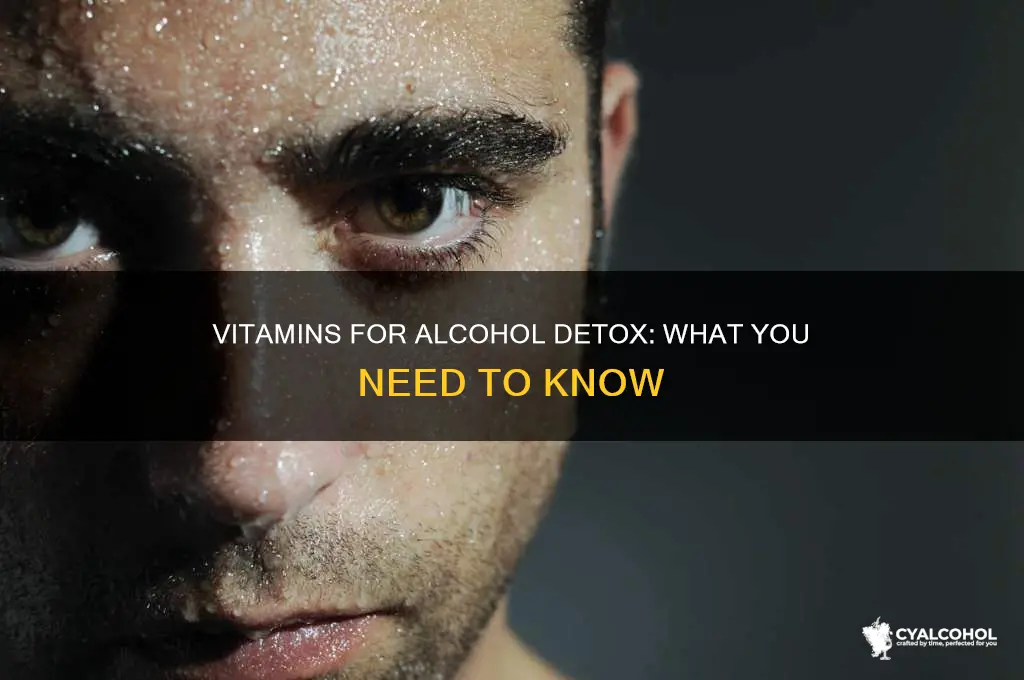 which vitamins are most needed when going through alcohol detox