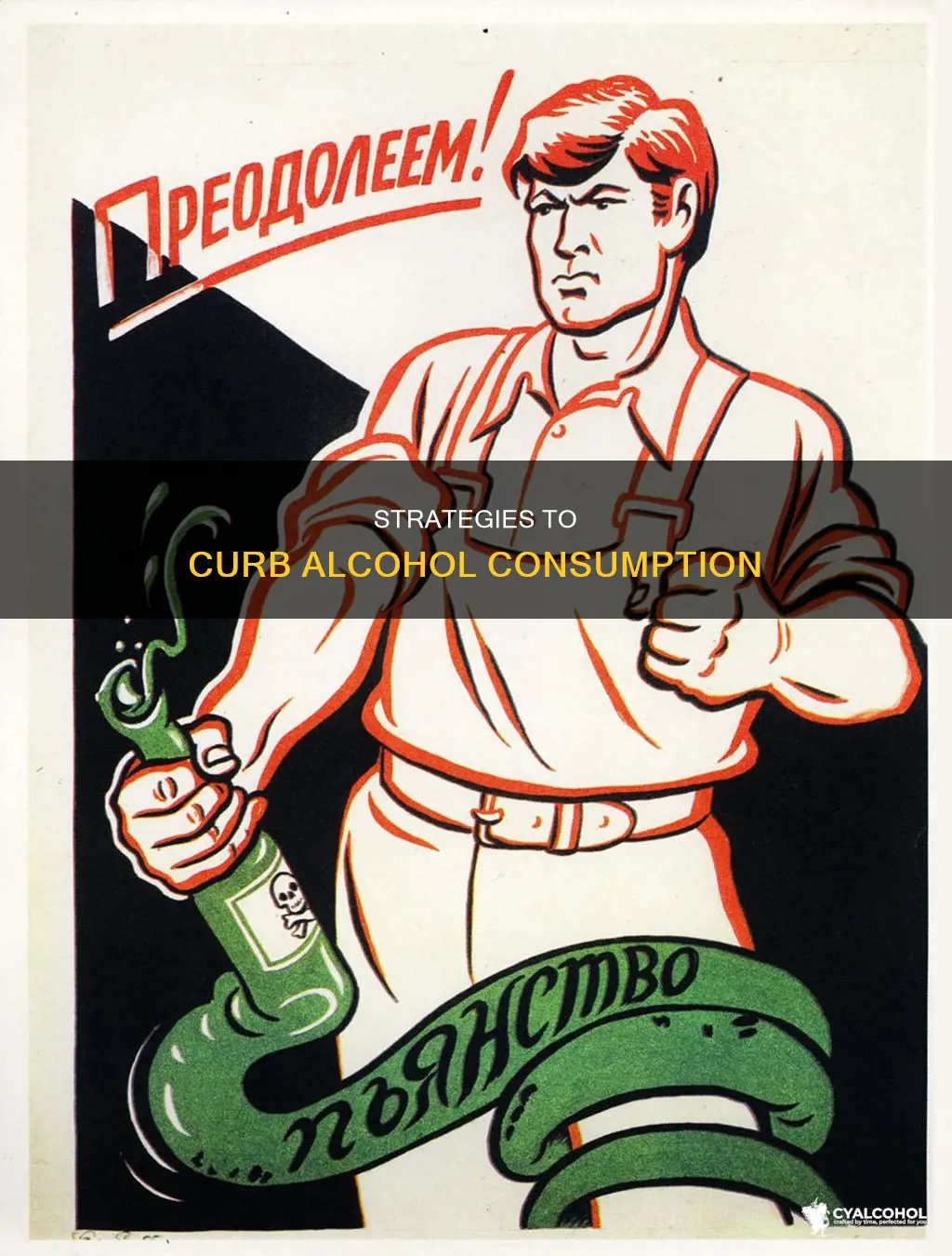 which word describes efforts to reduce or eliminate alcohol consumption