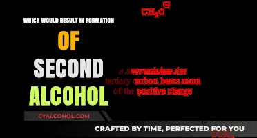 Understanding the Chemical Reactions Leading to Second Alcohol Formation