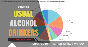 Who Are the Usual Alcohol Drinkers? Exploring Demographics and Trends