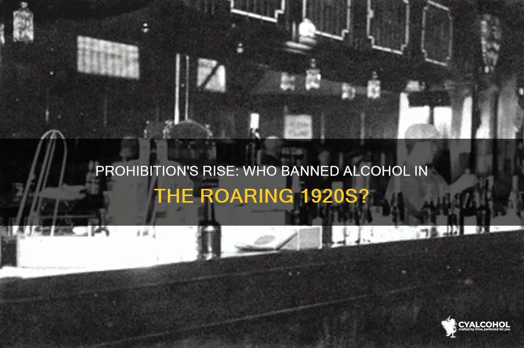 who banned alcohol in the 1920