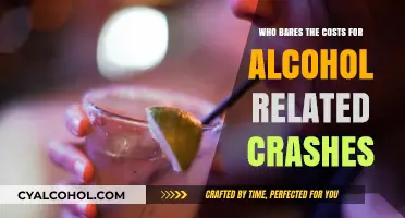 Alcohol-Related Crashes: Who Bears the Financial Burden and Why?