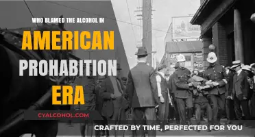 Prohibition's Scapegoat: How Alcohol Was Blamed in 1920s America