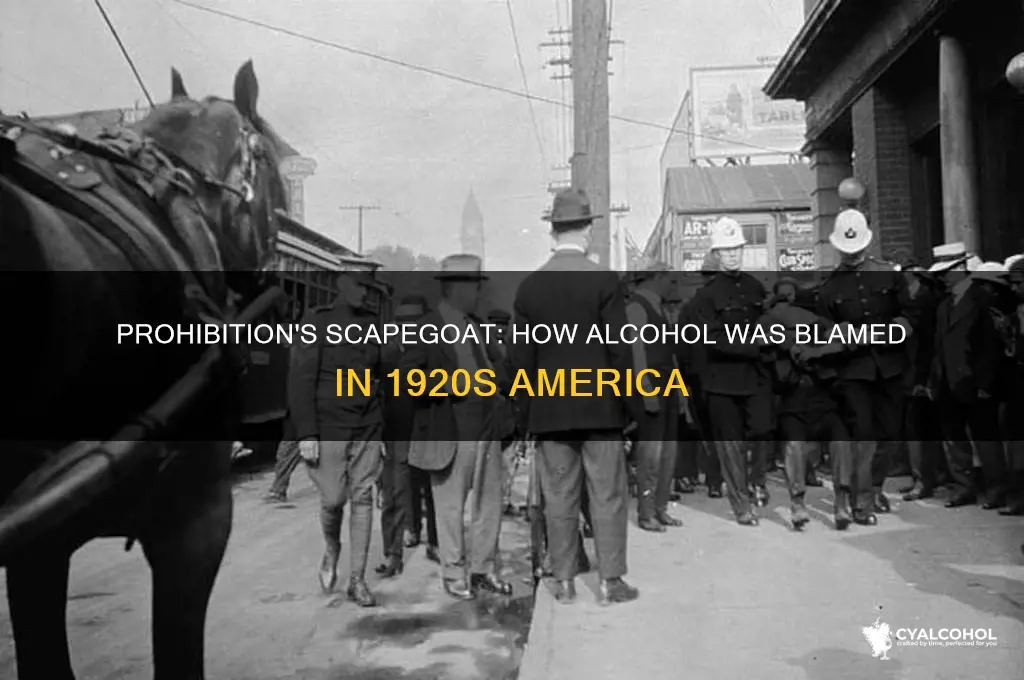 who blamed the alcohol in american prohabition era