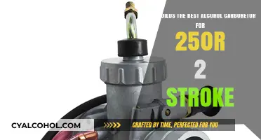 Best Alcohol Carburetors for 250R 2-Stroke: Top Picks