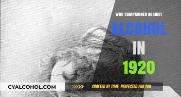 The Temperance Movement: Who Led the 1920s Anti-Alcohol Crusade?
