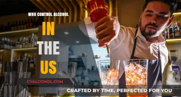 Who Regulates Alcohol in the US: Understanding the Control System
