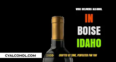 Boise Alcohol Delivery Services: Who Brings Drinks to Your Door?