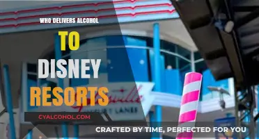 Alcohol Delivery Services to Disney Resorts: Your Guide to Options