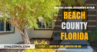 Palm Beach Alcohol Assessments: Where to Get Help