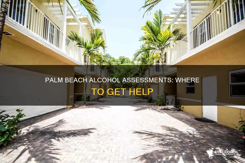 who does alcohol assessments in palm beach county florida