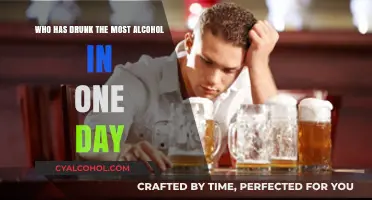 Most Alcohol Consumed in 24 Hours: Unbelievable but True!
