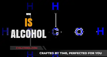Unveiling the Truth: Who or What is Alcohol, Really?