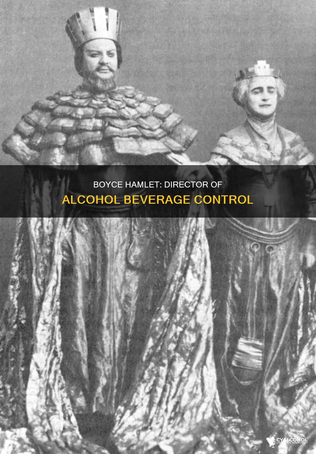 who is director boyce hamlet of alcohol beverage contro