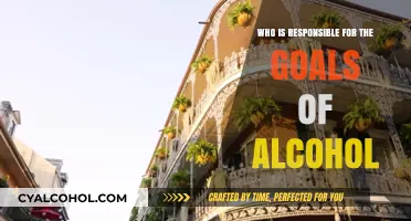 Who Bears Responsibility for Alcohol's Goals: Individuals or Society?