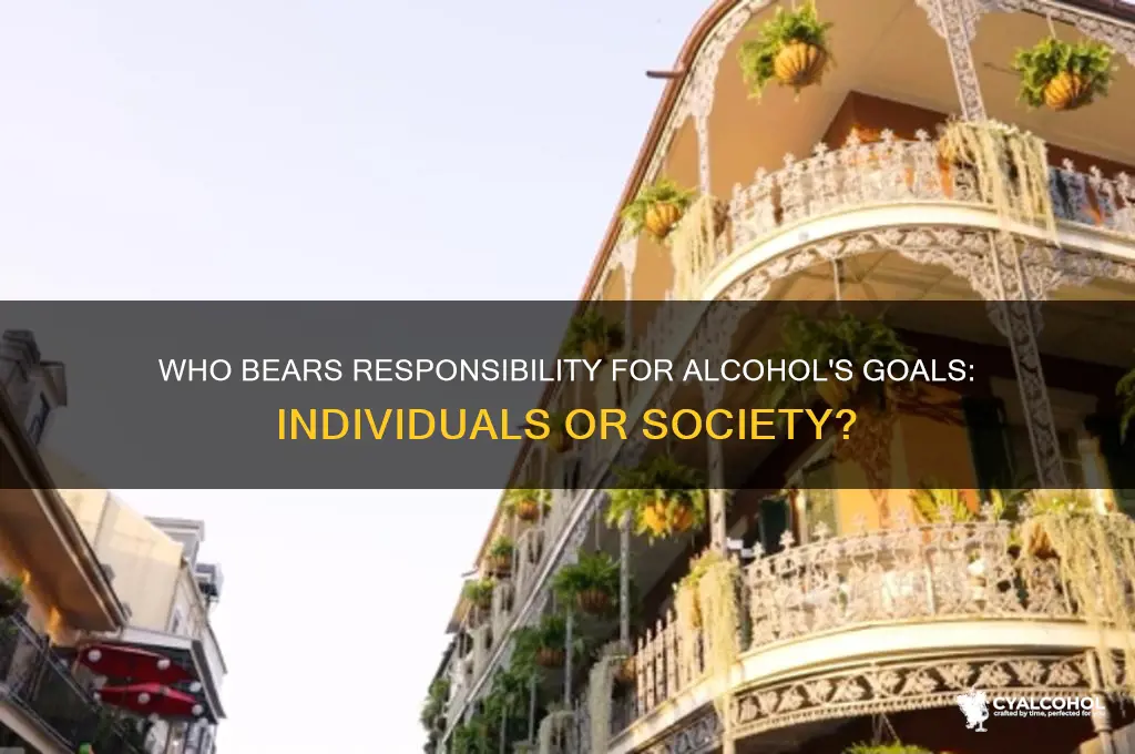 who is responsible for the goals of alcohol
