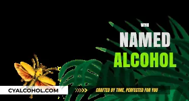 The Surprising Origins: Who Named Alcohol and Why It Matters