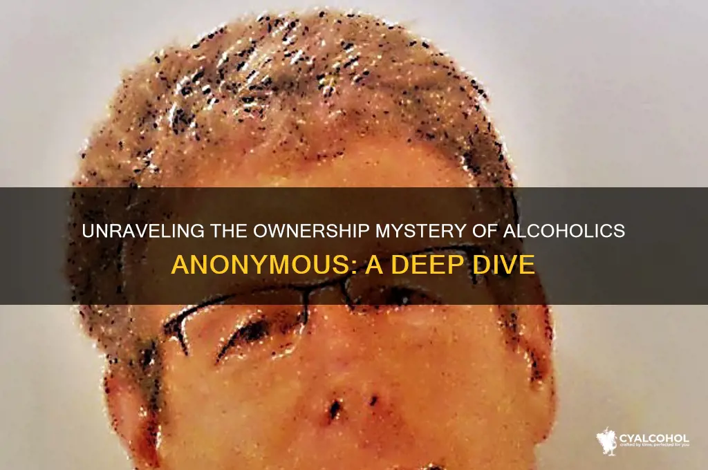 who owns alcoholics anonymous