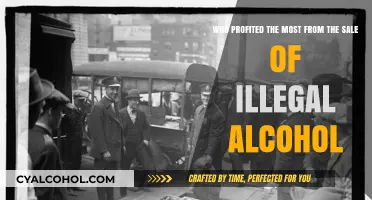 Bootleggers: Who Made the Most Money?