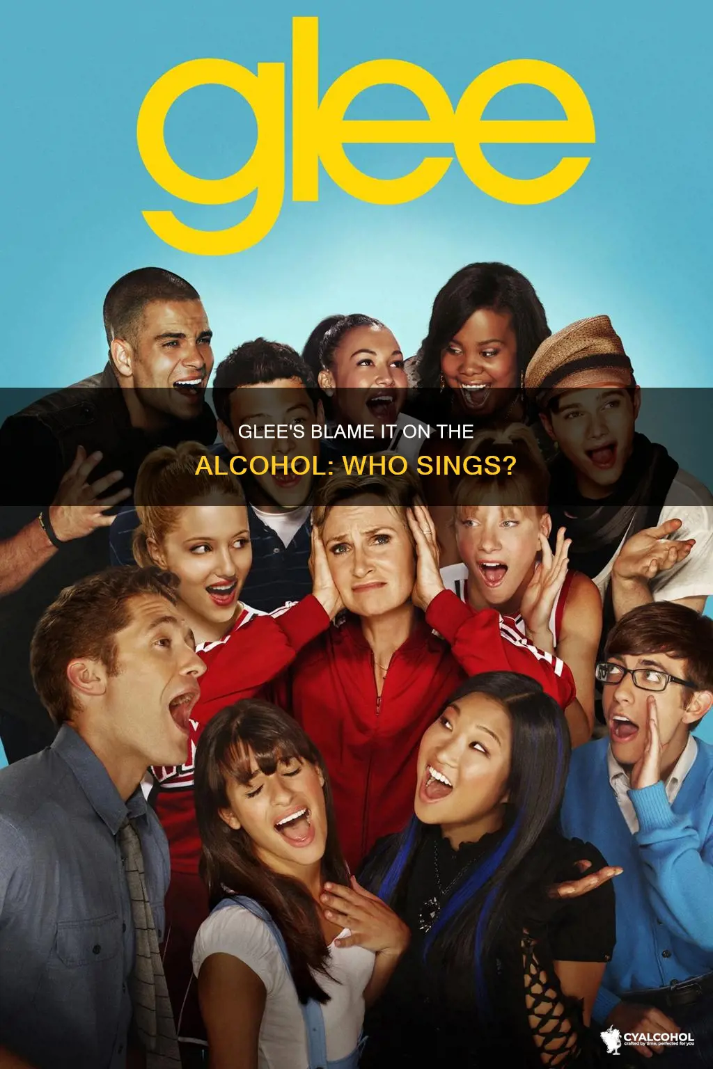 who sings blame it on the alcohol in glee