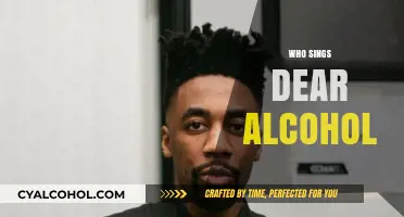 Who Sings 'Dear Alcohol'? Uncovering the Voice Behind the Hit
