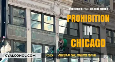 Chicago's Bootleggers: Who Controlled Illegal Alcohol During Prohibition?